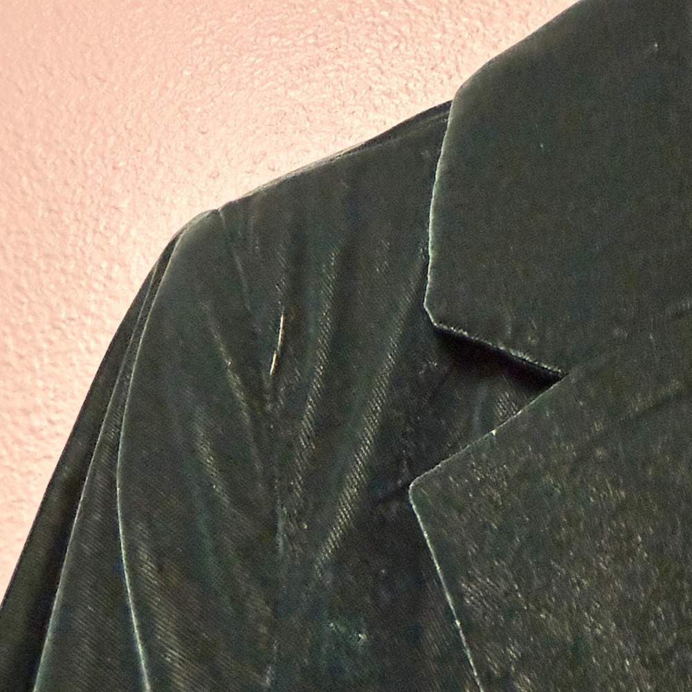 Old Navy Velvet Blazer - Picture 13 of 14